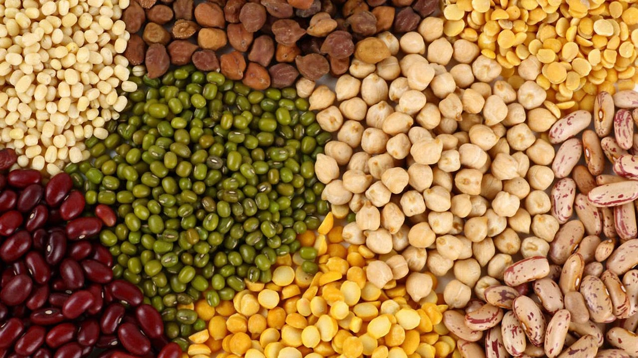 Pulses